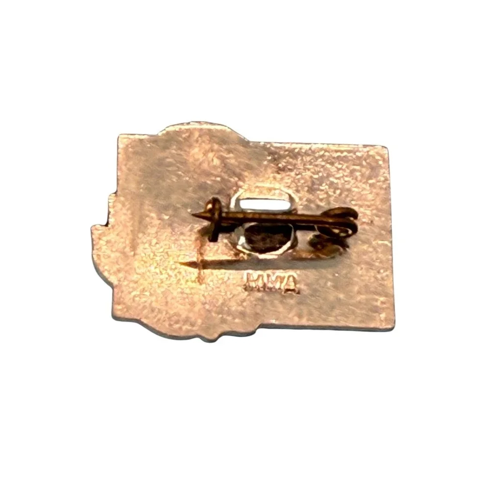 VTG MMD Taras Shevchenko 1814-1964 Pin Ukrainian Poet Bronze Red Enamel History
